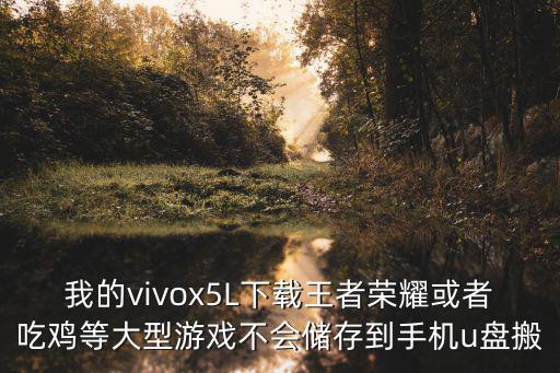 我的vivox5L下载王者荣耀或者吃鸡等大型游戏不会储存到手机u盘搬