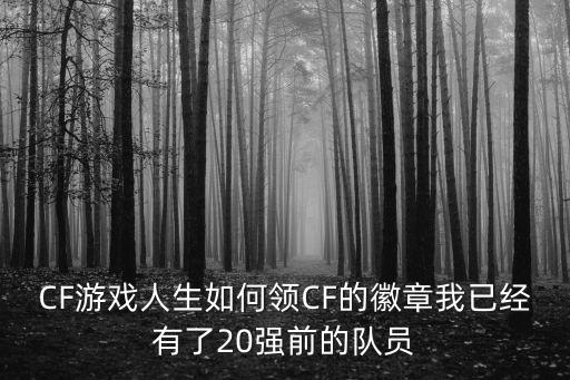 CF游戏人生如何领CF的徽章我已经有了20强前的队员