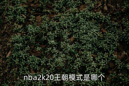 nba2k20王朝模式是哪个