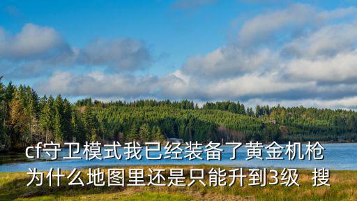 cf守卫模式我已经装备了黄金机枪 为什么地图里还是只能升到3级  搜