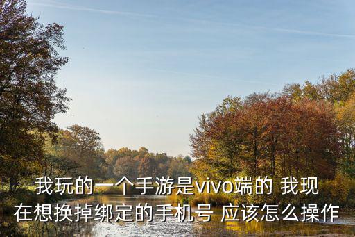 我玩的一个手游是vivo端的 我现在想换掉绑定的手机号 应该怎么操作