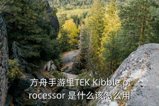 方舟手游里TEK Kibble processor 是什么该怎么用