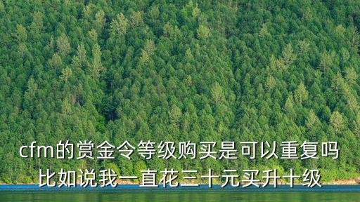 cfm的赏金令等级购买是可以重复吗比如说我一直花三十元买升十级