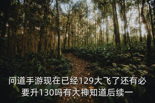 问道手游现在已经129大飞了还有必要升130吗有大神知道后续一