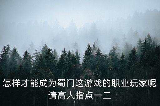 怎样才能成为蜀门这游戏的职业玩家呢请高人指点一二