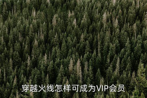 穿越火线怎样可成为VIP会员