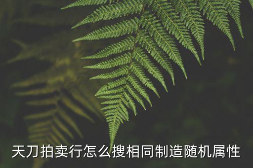 天刀拍卖行怎么搜相同制造随机属性