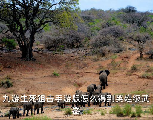 九游生死狙击手游版怎么得到英雄级武器