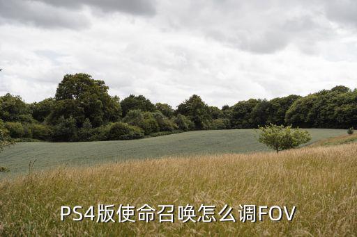 PS4版使命召唤怎么调FOV