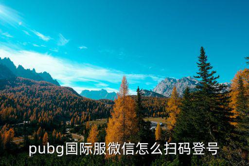 pubg国际服微信怎么扫码登号