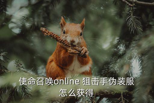 使命召唤online 狙击手伪装服怎么获得