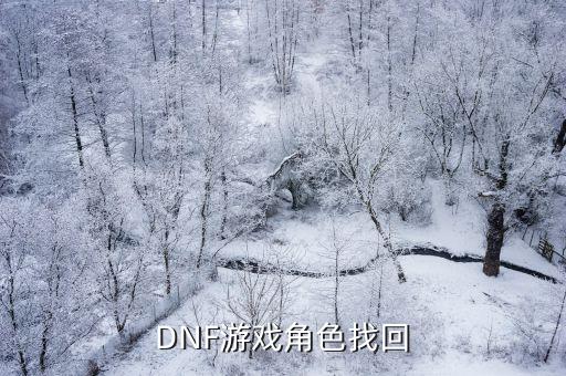 DNF游戏角色找回