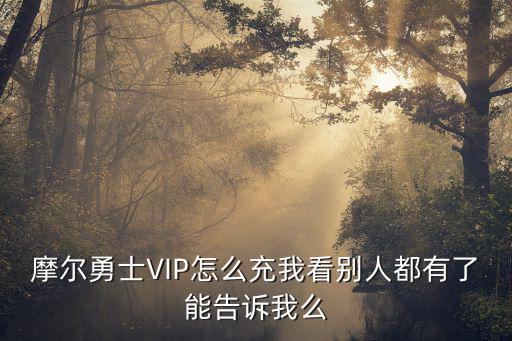 摩尔勇士VIP怎么充我看别人都有了能告诉我么