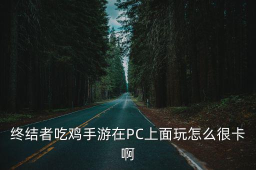 终结者吃鸡手游在PC上面玩怎么很卡啊