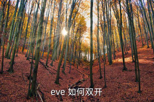 eve 如何双开