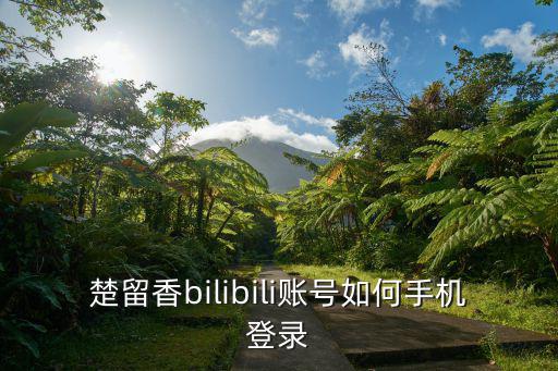 楚留香bilibili账号如何手机登录