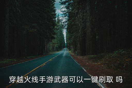 穿越火线手游武器可以一键刷取 吗