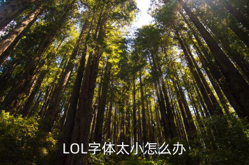 LOL字体太小怎么办