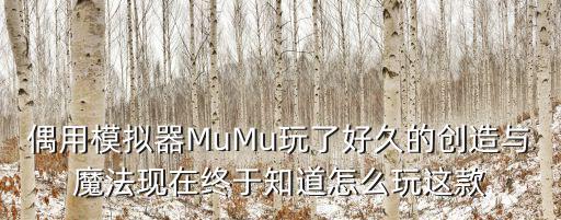 偶用模拟器MuMu玩了好久的创造与魔法现在终于知道怎么玩这款