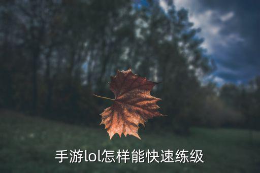 手游lol怎样能快速练级