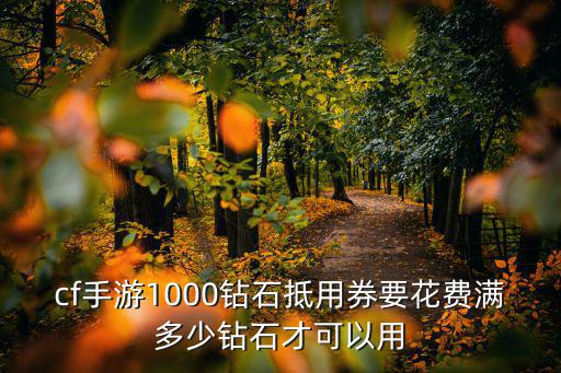 cf手游1000钻石抵用券要花费满多少钻石才可以用