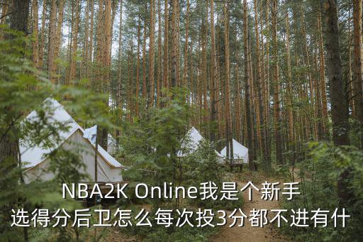 2kol2手游投不进怎么办，2kol中 投篮出手后球不进 但是不提示早了或晚了啥都没有 我用杜