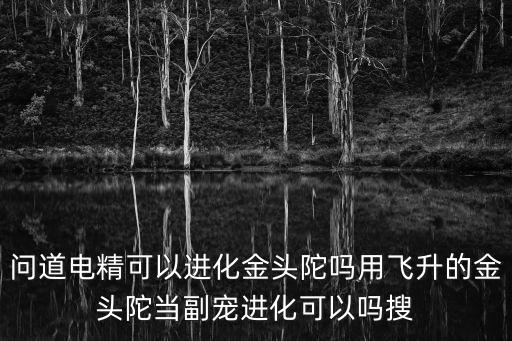 问道电精可以进化金头陀吗用飞升的金头陀当副宠进化可以吗搜