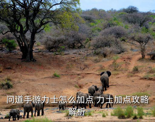 问道手游力士怎么加点 力土加点攻略解析