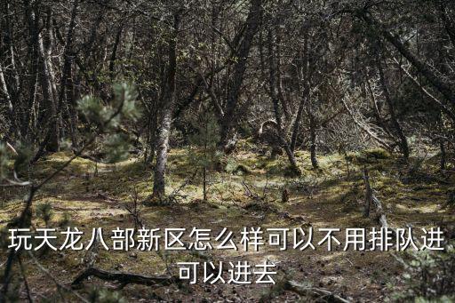 玩天龙八部新区怎么样可以不用排队进可以进去