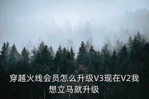 穿越火线会员怎么升级V3现在V2我想立马就升级