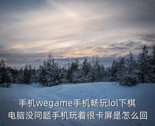 手机wegame手机畅玩lol下棋电脑没问题手机玩着很卡屏是怎么回