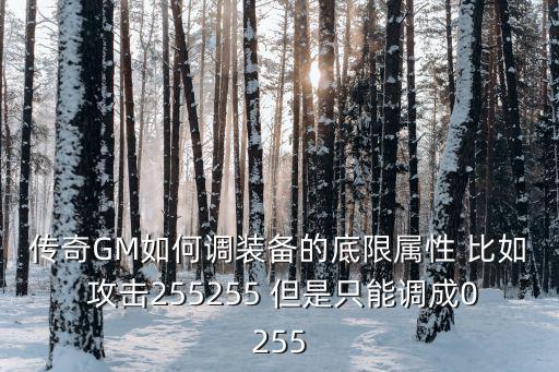 传奇GM如何调装备的底限属性 比如 攻击255255 但是只能调成0255