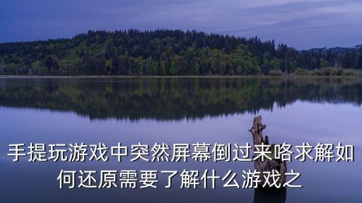 手提玩游戏中突然屏幕倒过来咯求解如何还原需要了解什么游戏之