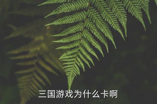 三国战纪手游卡怎么回事，三国战记 怎么卡着打