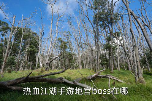 热血江湖手游地宫怎么做，热血江湖手游地宫boss坐标是什么 地宫boss坐