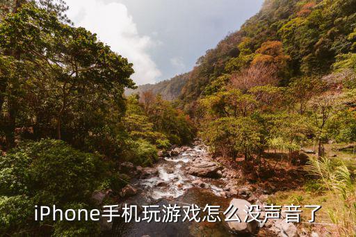 iPhone手机玩游戏怎么没声音了