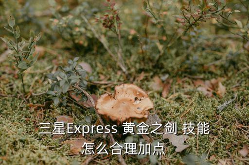 三星Express 黄金之剑 技能怎么合理加点