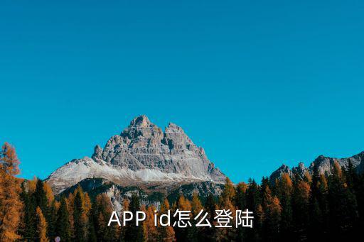 英雄联盟手游id怎么登陆，APP id怎么登陆