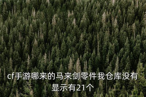 cf手游哪来的马来剑零件我仓库没有显示有21个