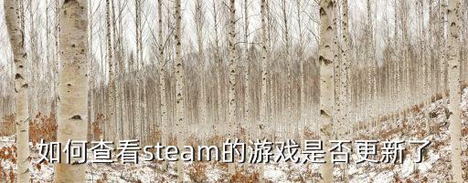 如何查看steam的游戏是否更新了