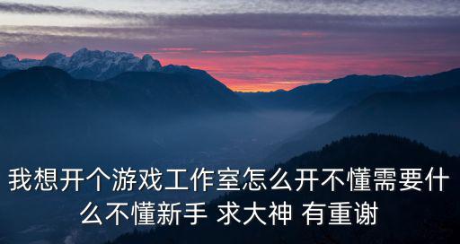 我想开个游戏工作室怎么开不懂需要什么不懂新手 求大神 有重谢