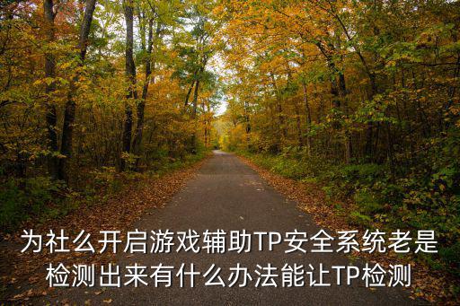 为社么开启游戏辅助TP安全系统老是检测出来有什么办法能让TP检测