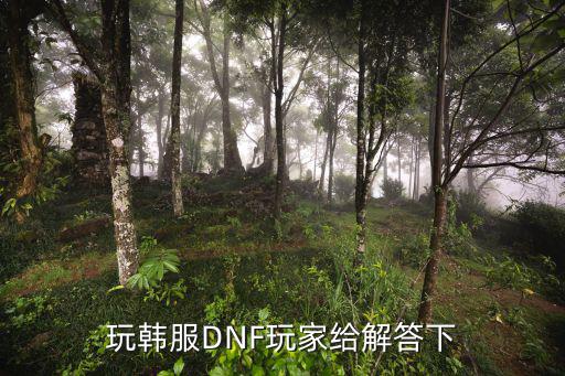 玩韩服DNF玩家给解答下