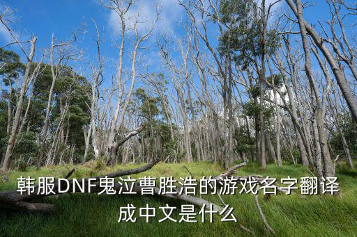 韩服DNF鬼泣曹胜浩的游戏名字翻译成中文是什么