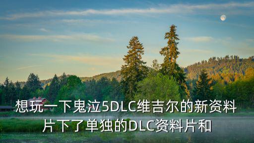 鬼泣手游维吉尔试用卡怎么获得，想玩一下鬼泣5DLC维吉尔的新资料片下了单独的DLC资料片和