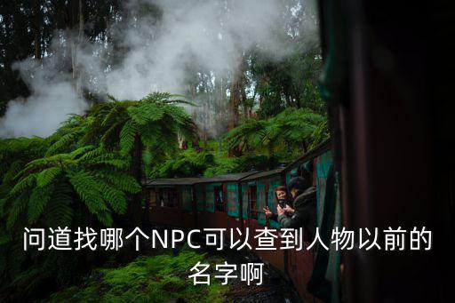 问道找哪个NPC可以查到人物以前的名字啊