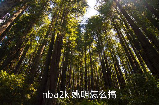 nba2k 姚明怎么搞