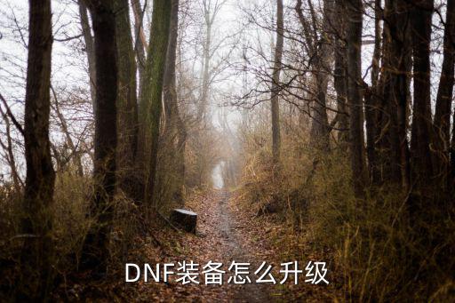 DNF装备怎么升级