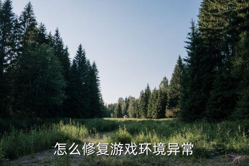 怎么修复游戏环境异常