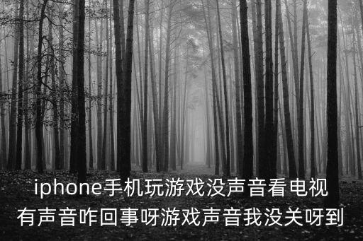 苹果lol手游没声音怎么回事，iPhone手机玩游戏怎么没声音了